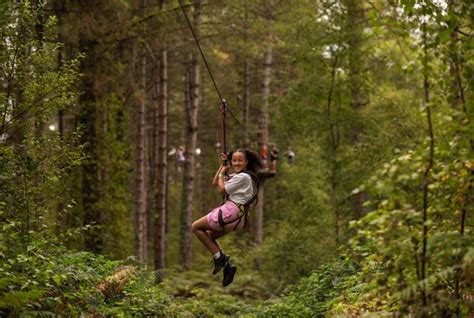 Go Ape Dalby Forest - Discover Yorkshire Coast