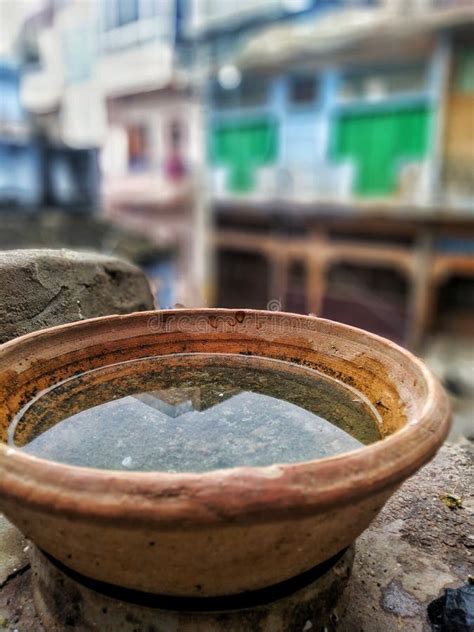 Water Mud Pot stock image. Image of water, summer, birds - 195672603