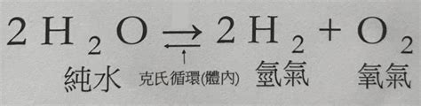 書名：兒少神經精神疾病自然療法 初稿 第二十八章、氫氣對腦神經組織的重要性