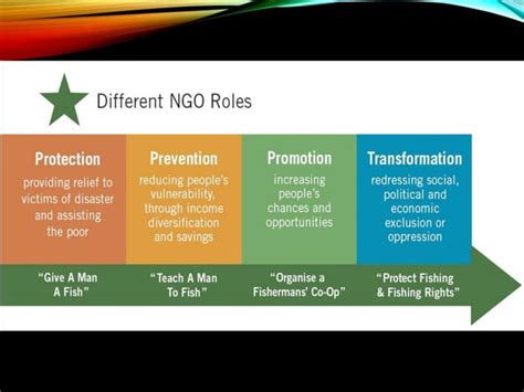 Role Of Ngos In Development