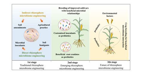 Emerging Pathways For Engineering The Rhizosphere Microbiome For