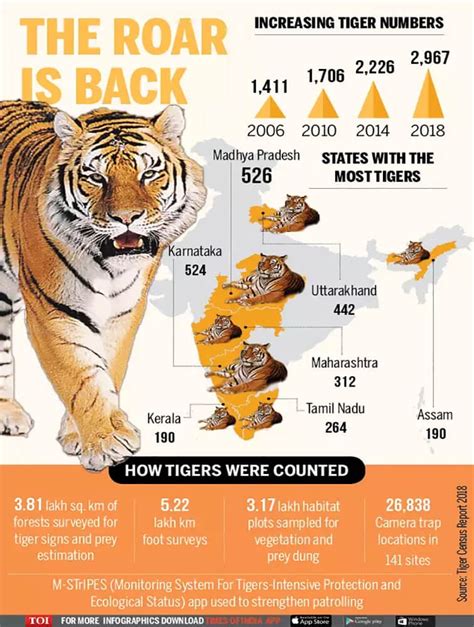 The Number of Tigers Increased in India – Almost 2967 Royal Bengal Tigers - Latest News and Blog ...