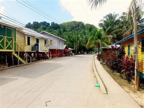 Punta Gorda Lista Para Celebrar ‘‘feria Patronal Barauda Diario RoatÁn