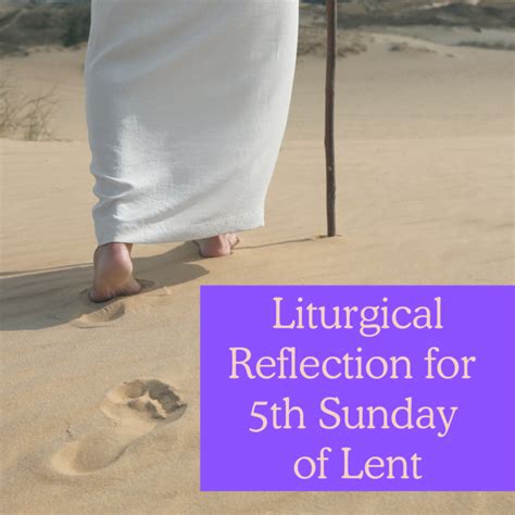 Liturgical Reflection For 5th Sunday Of Lent Year B Church Of Saint