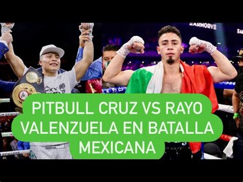 Pitbull Cruz Vs Rayo Valenzuela En Agosto Pitbullcruz Youtube