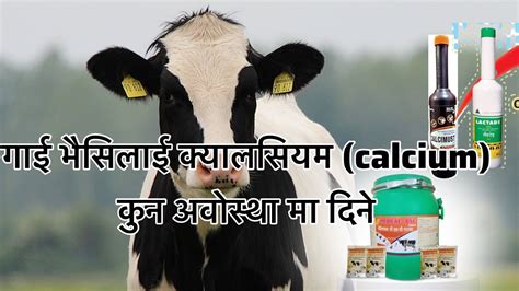 गई भसलई कयलसयम Calcium कन अवसथ म दन YouTube