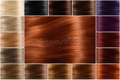 Color Chart For Tints Hair Color Palette With A Wide Range Of Swatches