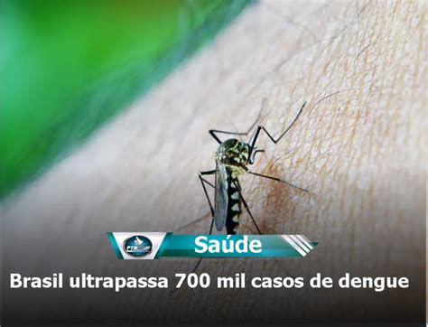 Brasil Ultrapassa Mil Casos De Dengue Ptn News