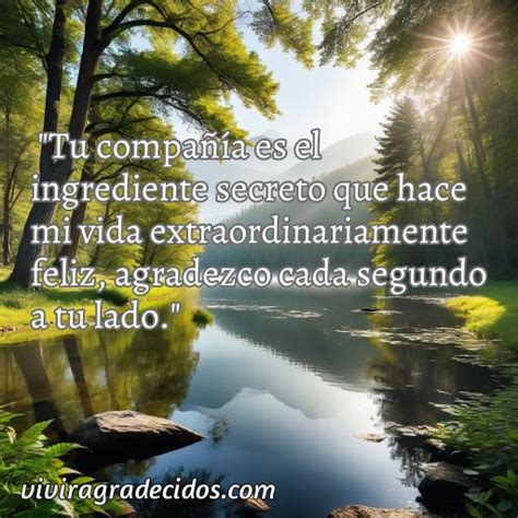 Cincuenta Mejores Frases De Agradecimiento De Mr Wonderful Vivir