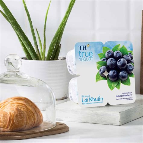 Thùng 48 hộp sữa chua ăn men sống việt quất tự nhiên TH True Yogurt 100g