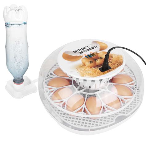 Tucker Murphy Pet Effi Chicken Egg Incubator For Up To Eggs Wayfair