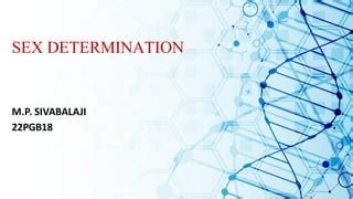 Sex Detemination Pdf