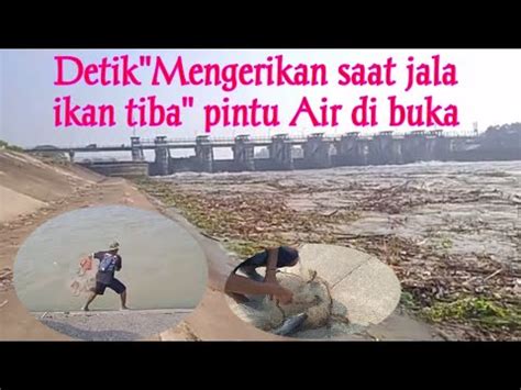 Detik² Mengerikan saat jala ikan dapat ikan babon baung tiba² pintu air