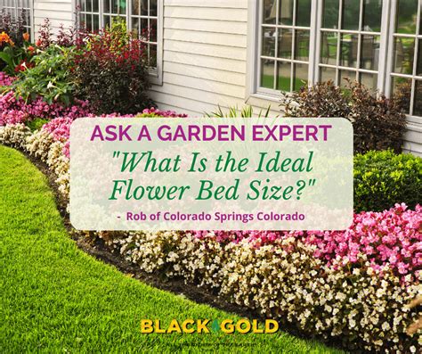 What Is the Ideal Flower Bed Size? – Black Gold