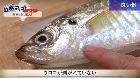 鮮度のよい魚の見分け方｜長谷工グループ「ブランシエラクラブ」