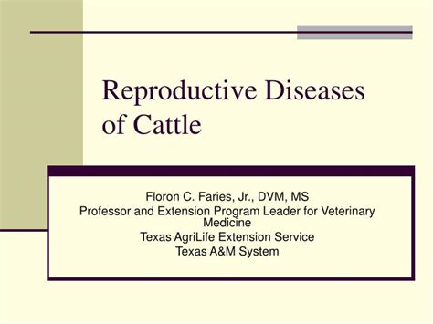 Ppt Reproductive Diseases Of Cattle Powerpoint Presentation Free