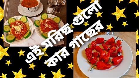 Evening vlog Who s chilli is this বকলর বলগ মরছ গল কর YouTube