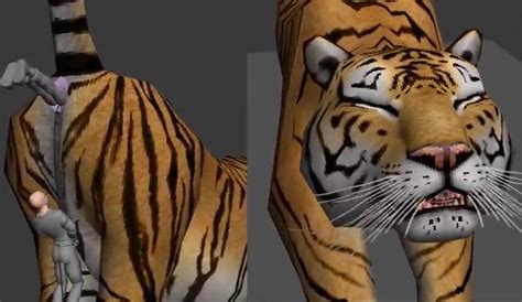 Tiger Anal Vore Video 2 ThisVid