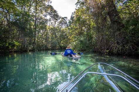 Get Up And Go Kayaking Weeki Wachee Spring Hill Tripadvisor