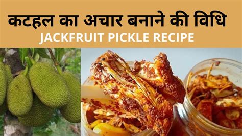 कटहल का अचार बनाने की वि धि Jackfruit Pickle Recipe Kathal Ka Achar Sumedha Youtube