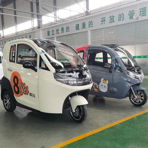 Raysince New Design Three Wheel Electric Car With Eec Certificate