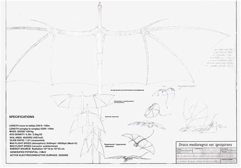 Dragon Blueprint Restoration For Octocon