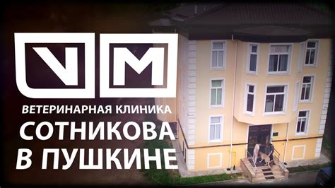 Открыта ветеринарная клиника в Пушкине - YouTube