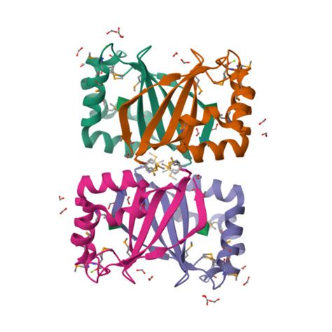 Rcsb Pdb Qlx Crystal Structure Of Rhamnose Mutarotase Rhau Of