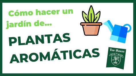 Como hacer un jardín de PLANTAS AROMÁTICAS Actividades para niños de