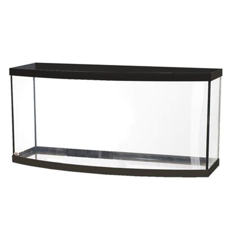 Aqueon Large 72 Gallon Bow Front Tank – Bay Bridge Aquarium and Pet