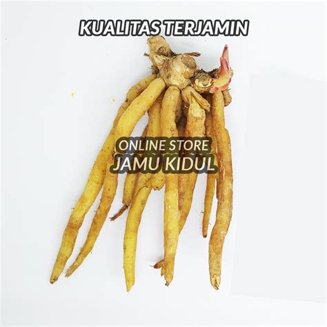 Jual Temu Kunci Segar 500gr Organik Bumbu Masak Dari Gunung Kidul