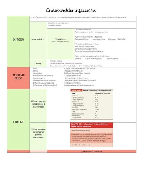 Endocarditis Infecciosa Valeria Hernandez Udocz