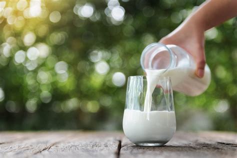 Formaggi Naturalmente Senza Lattosio Ecco Quali Comprare Gambero Rosso