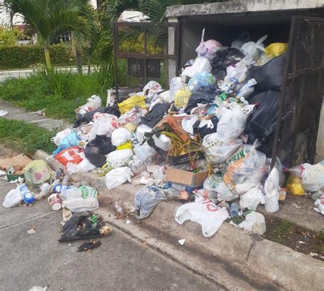 Cúmulo de basura en Carmen Renata III afecta a moradores N Digital