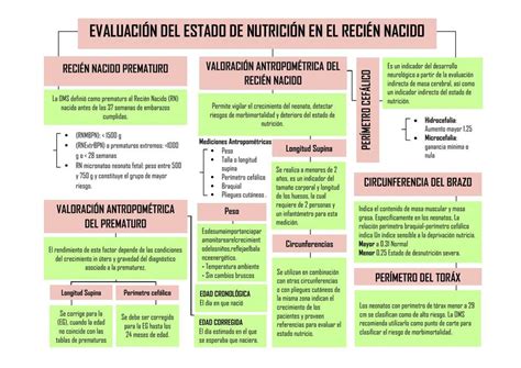 Mapa Evaluaci N Del Estado Nutricional Del Reci N Nacido Denisse