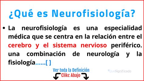 Neurofisiología Significado Funciones Y Aplicaciones