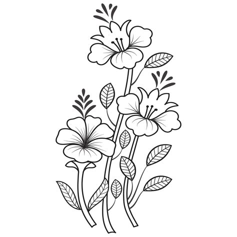 Set Of Differents Flower Line On White Background Flowers Drawing With