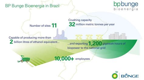 BP And Bunge S New Biofuel Joint Venture In Brazil A Major Expansion