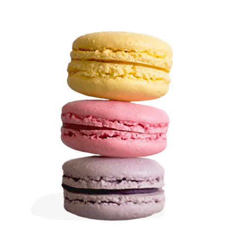 Macaron Png Transparent Image Download Size 500x500px