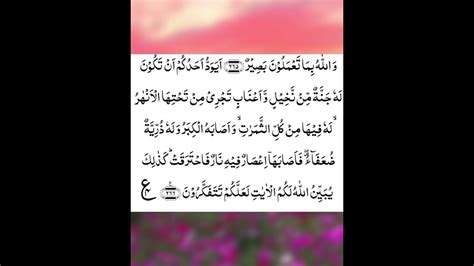 Surah Al Baqarah Ayat 266 270