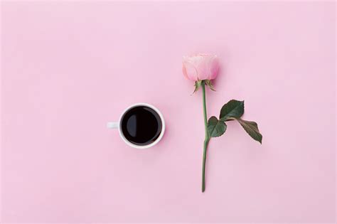 Pink Coffee Wallpapers Wallpaper Cave