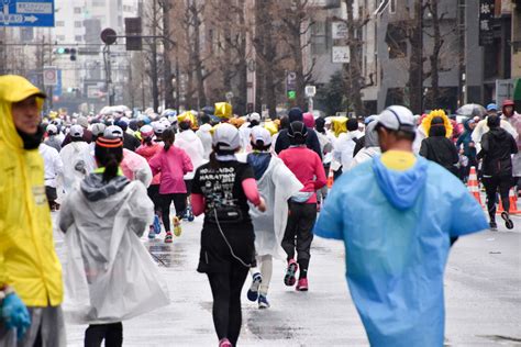 【東京マラソン2019】 雨もしたたるコスプレランナー画像集 たのっちぶろぐ