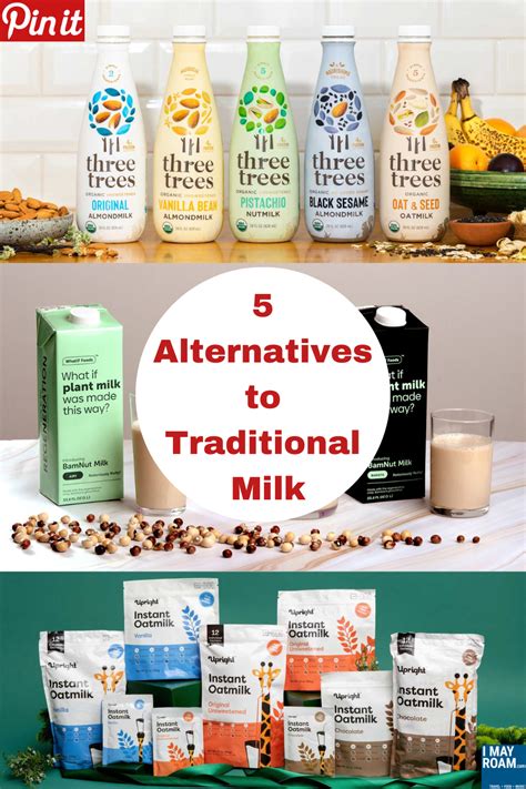 5 alternatives to traditional milk - I May Roam