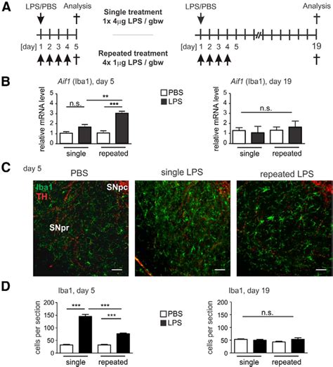 Neurodegeneration By Activation Of The Microglial ComplementPhagosome