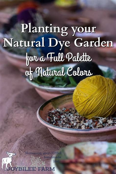 A Natural Dye Garden Will Give You Eco Friendly Natural Dye Pigments