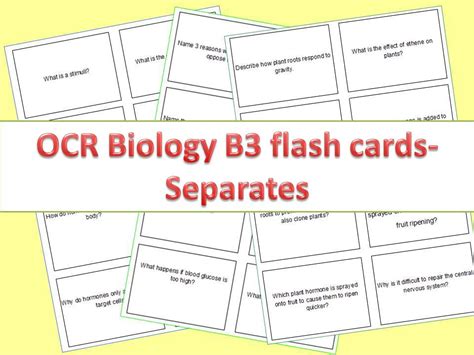 Ocr Biology B Organism Level Systems Separates Flash Cards Teaching