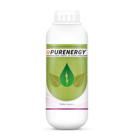 PURENERGY - Camont
