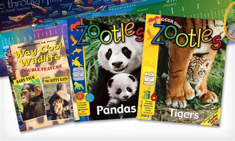 Zoobooks Kids Educational Sets Groupon Goods