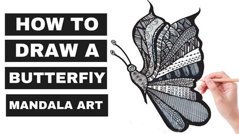 How To Draw Butterfly Mandala Art Mandala Art For Beginner Easy And