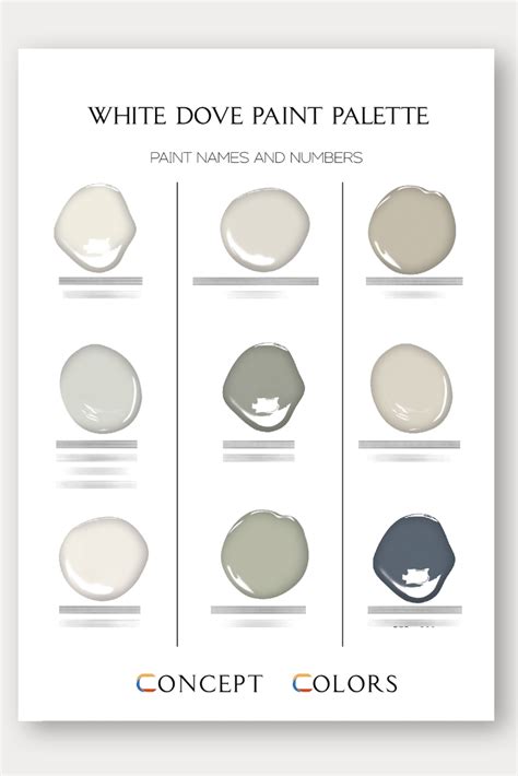 White Dove Paint Palette Benjamin Moore Color Palette White Etsy In